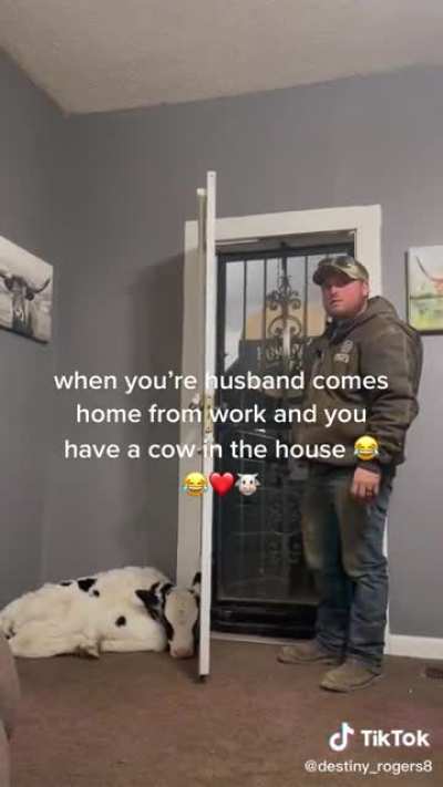 When your husband comes home from work and you have a cow in the house!