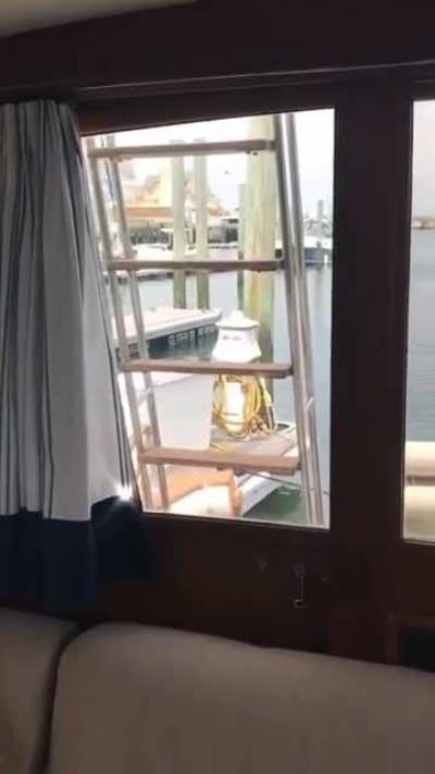 Wow