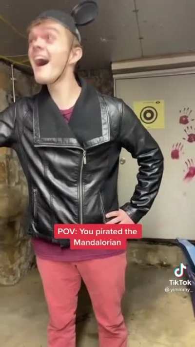 POV - You pirated the Mandalorian