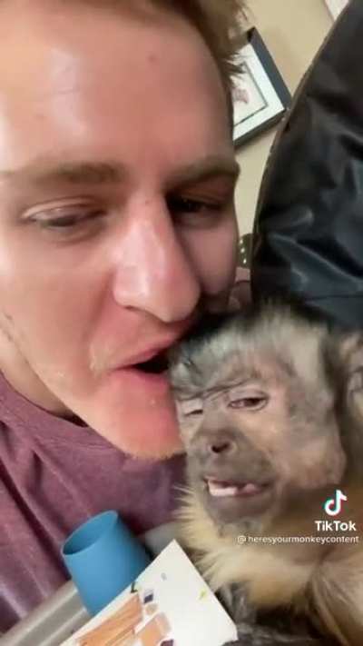This monkey’s face lol