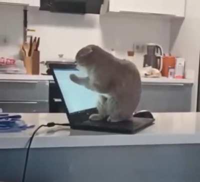 Working hard from home 😂😂😂😂