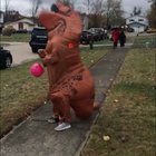 Wind...natural predator of the T-Rex.