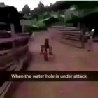 Wakanda drift