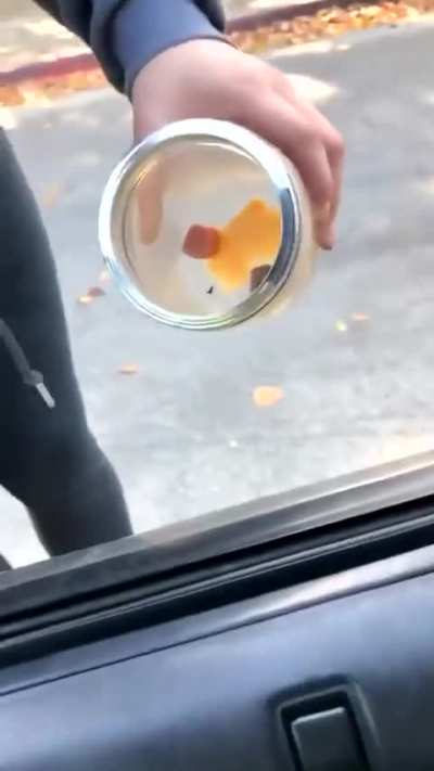 🐭: 