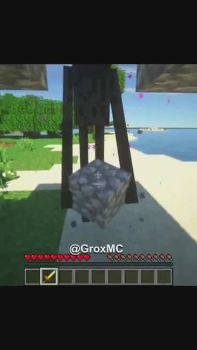 Lmao! Ender man is done with this bulls*t