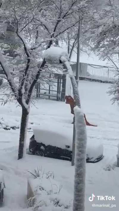 Jurassic Park Madrid edition