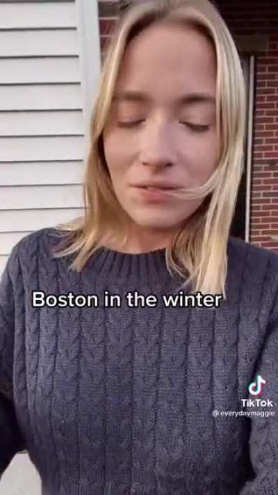Boston in the winter