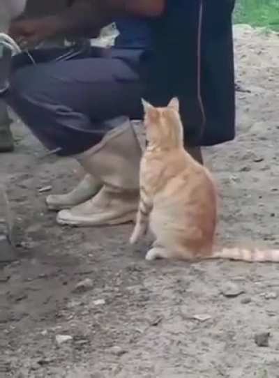 Dos gud milky taps.