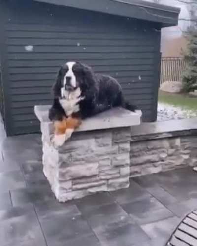 Лежит, сторо<wbr>жит