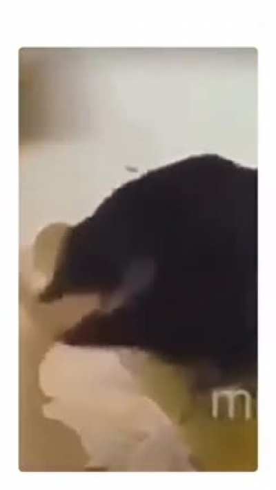 🤤