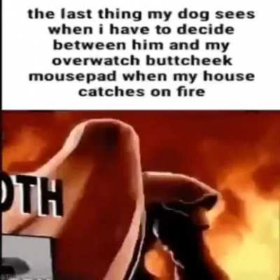 rule