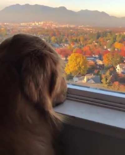 He makes it seem like he didn't just spend three hours playing outside.