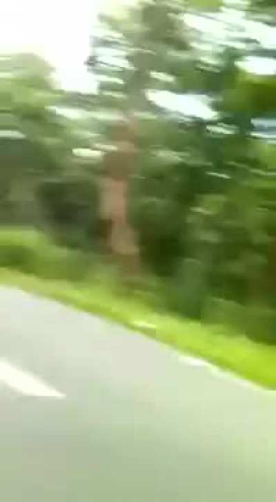 The said it will be fun to take the scenic road.