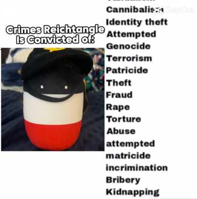 The crimes the reichtangle has committed 