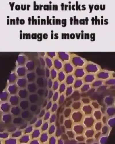 Optical illusion rule
