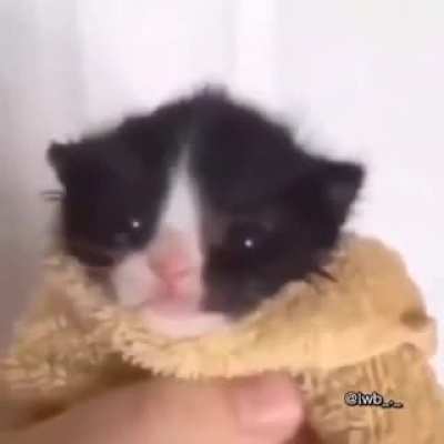😳