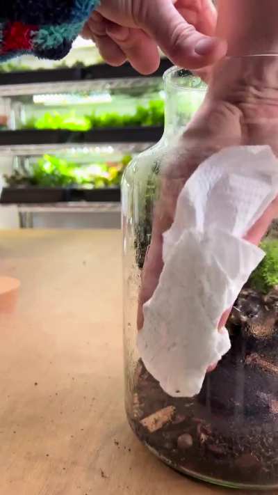 Vertical forest jarrarium