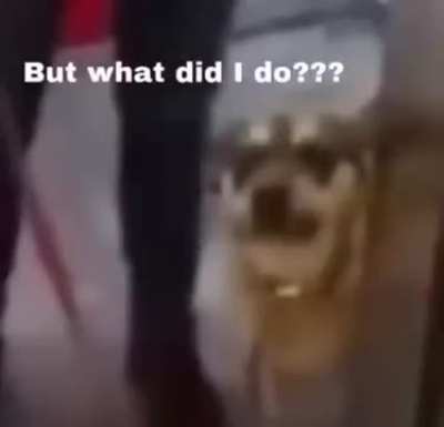 Racist