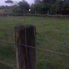 A little help rolling