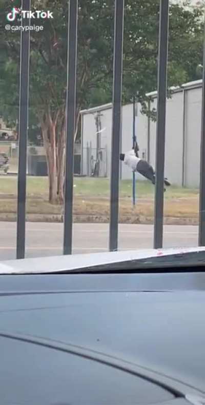 Crazy, but free