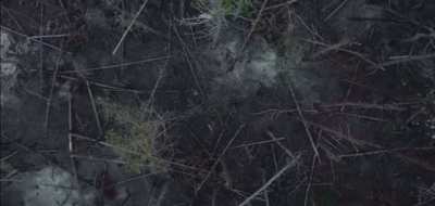 Netflix is ​​shooting a film about the Mykolayiv region. The film 