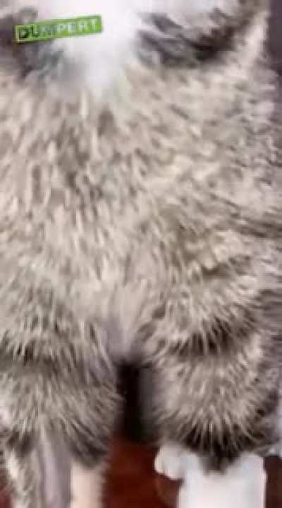Want to see my pussy?