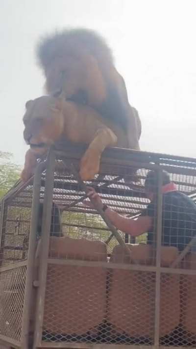 Hmmm
