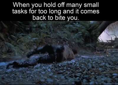 I've got nothing else to say, I just love Jurassic Park.