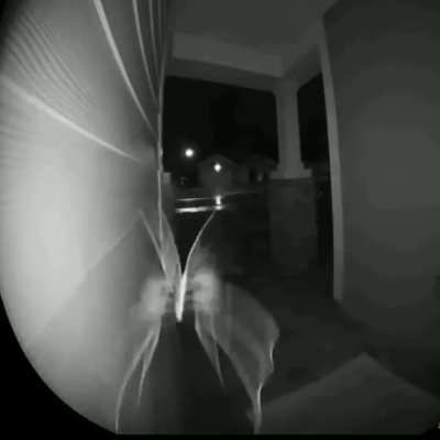ARK - Video #6373