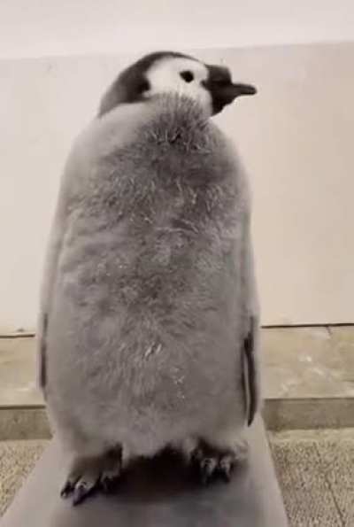 I didn’t think they were this big