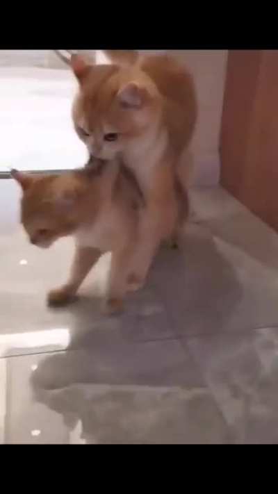 It's time to Sleep!