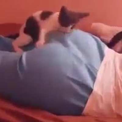 Chomp