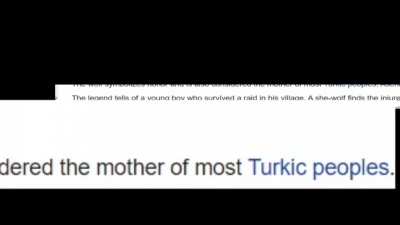 Least Furry Turk