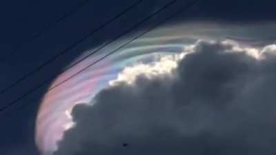 Zörgdruśt, the Cyborg Sky-Dragon.