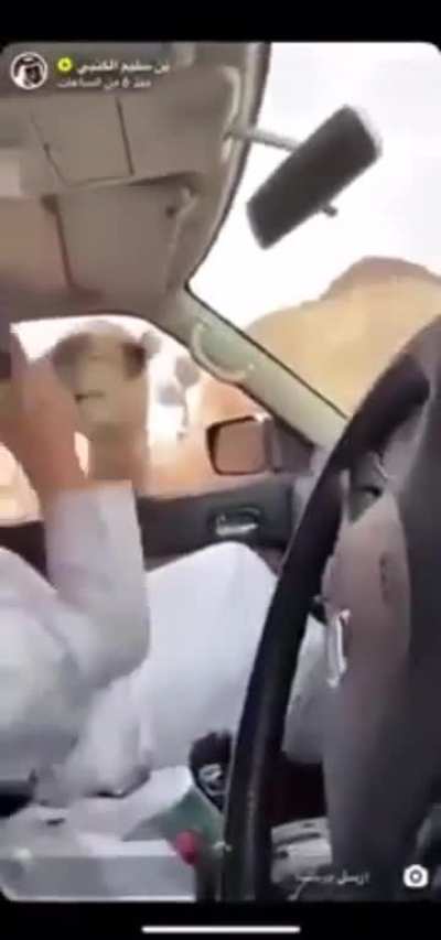 Don't scream and take it like a man.