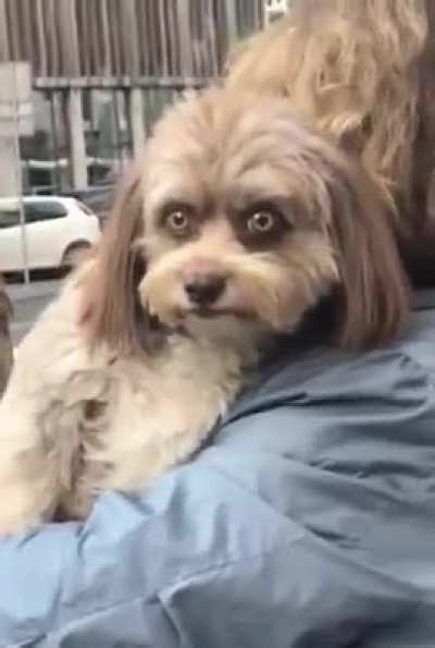 It told me it wants treats