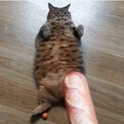 sIcK mAn ClUbS iNnOcEnT cHoNk