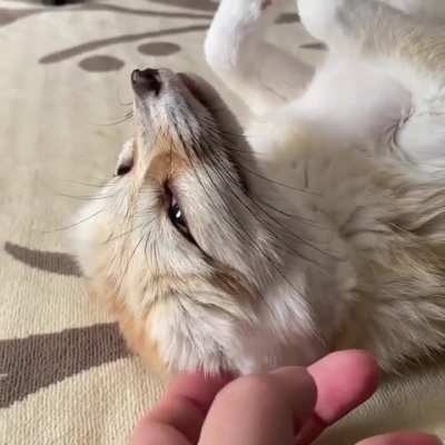 No touchy!