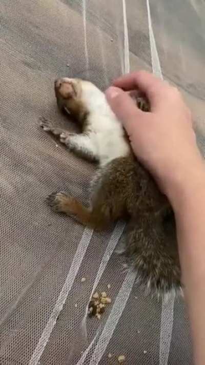 Aww yes