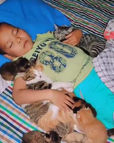 Sleeping buddies
