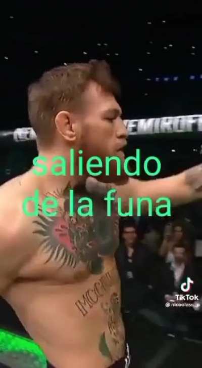 🐖🐖