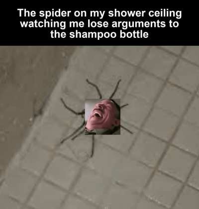 and then the spider starts giving me advice