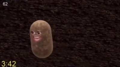 Potato