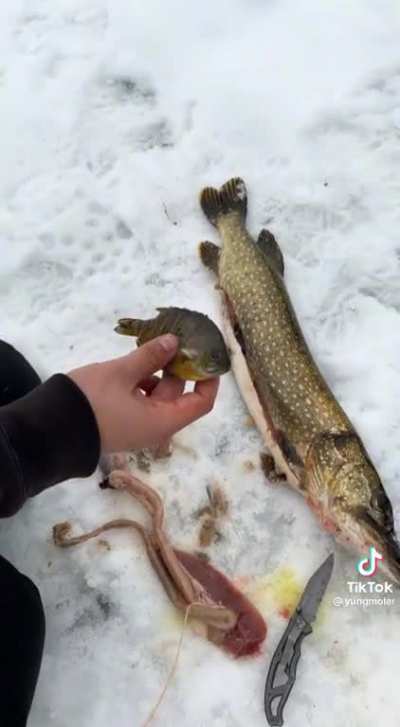 Ice fishing