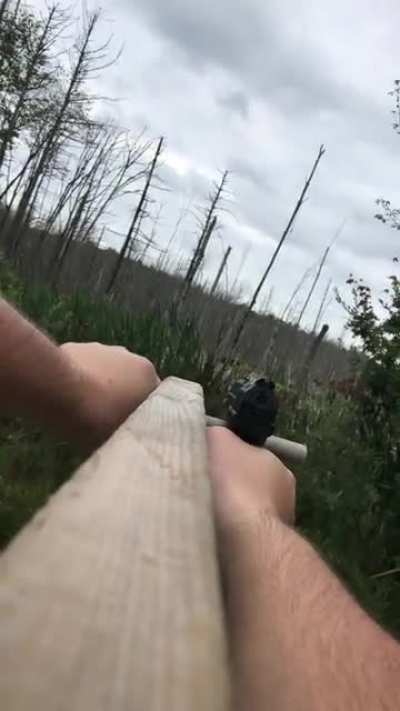 The Freedom Stick