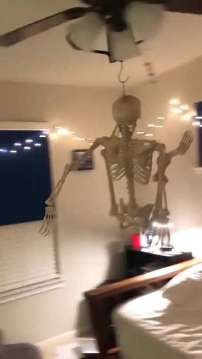 Spooky scary skeletons
