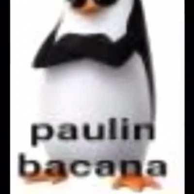 baulin pacana