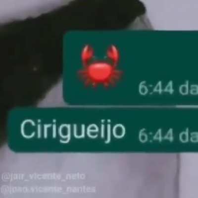 Riçoneronte