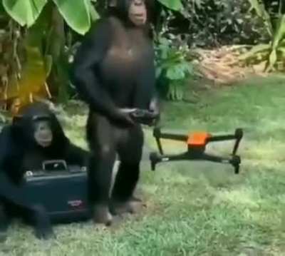 monkeler olmak insandan akıllı, siz olmak akılsız cahil cühela🦍🐵
