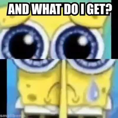 sponge bob square loan shark
